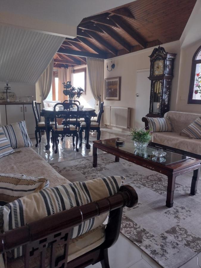 Appartement Ζεφυροσ à Litochoro Extérieur photo